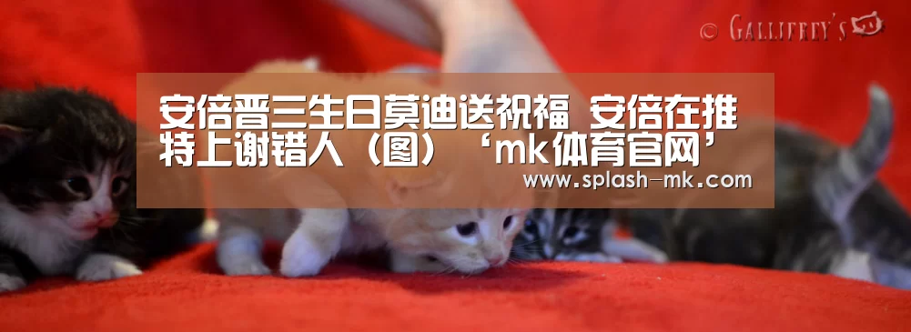 mk体育入口